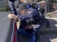 Homem reage à abordagem da Guarda Municipal de Novo Hamburgo, tenta impedir recuperação de material e acaba detido