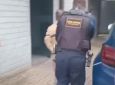 Homem de 46 anos é preso pela Guarda Municipal após furtar celular de loja em Cachoeirinha